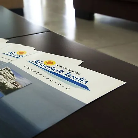 Apartamento Alameda De Jandía Morro Jable (Fuerteventura)